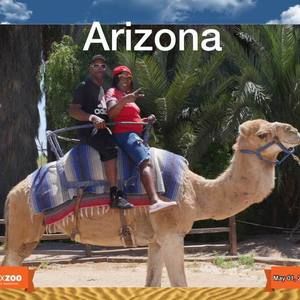 Meet your Posher, Galanda